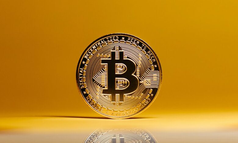 crypto halving news updates