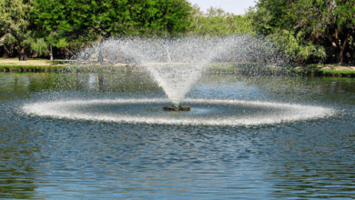 Choosing the Right Pond Fountain for Your Backyard or Property