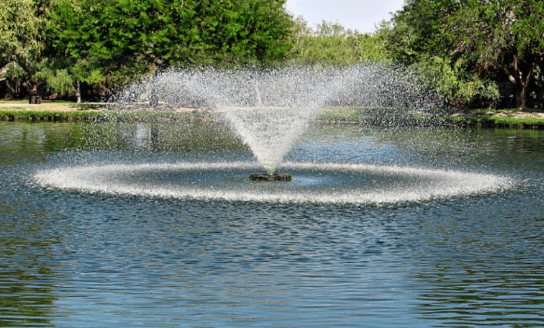 Choosing the Right Pond Fountain for Your Backyard or Property