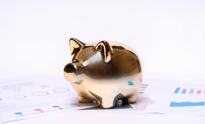 trace gallagher s financial status