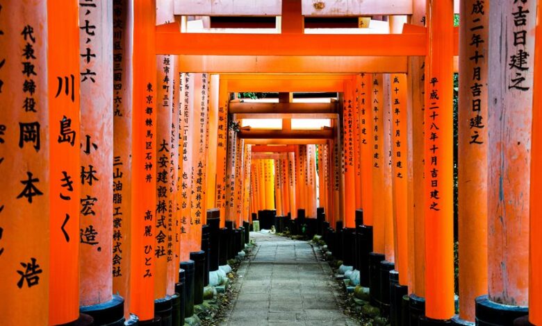 path revealed through numbers