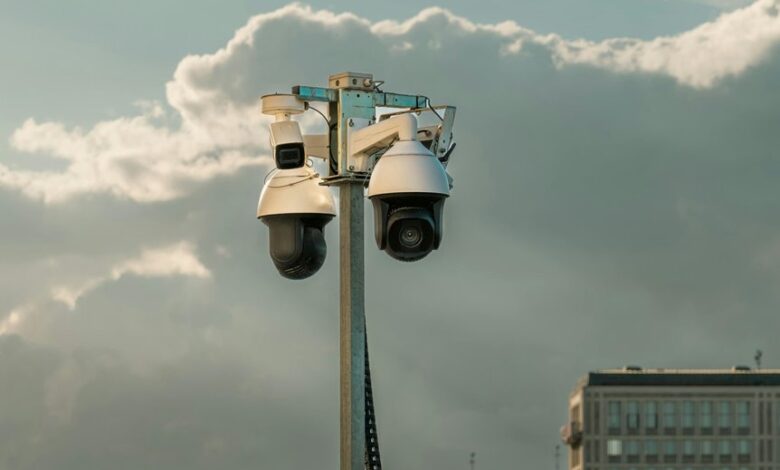 digital network oversight agency